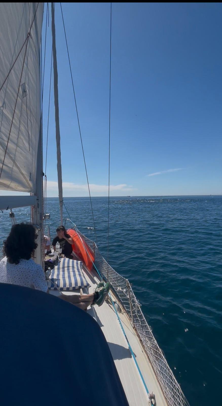 Snorkel desde el velero en Barcelona
